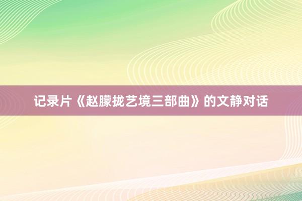 记录片《赵朦拢艺境三部曲》的文静对话