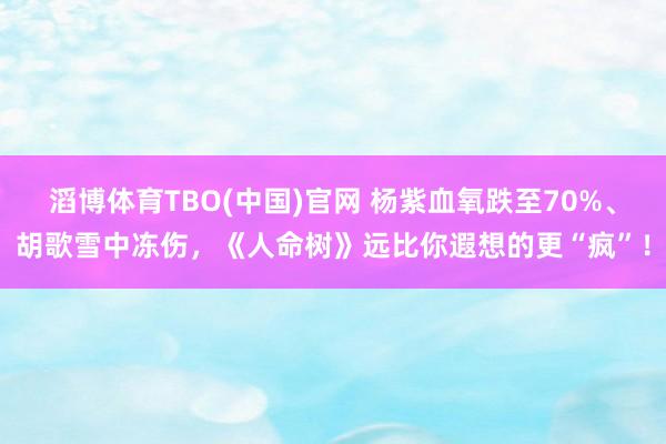 滔博体育TBO(中国)官网 杨紫血氧跌至70%、胡歌雪中冻伤，《人命树》远比你遐想的更“疯”！