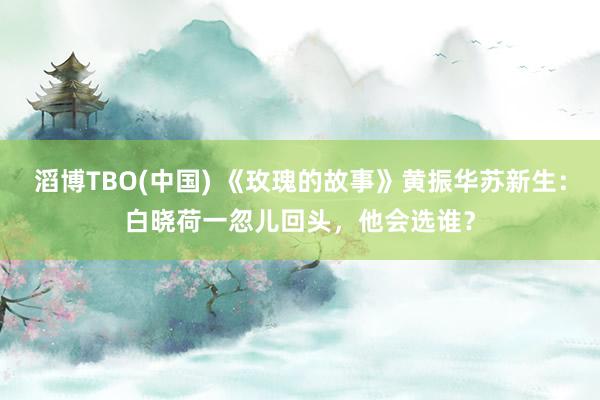 滔博TBO(中国) 《玫瑰的故事》黄振华苏新生：白晓荷一忽儿回头，他会选谁？