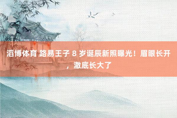 滔博体育 路易王子 8 岁诞辰新照曝光！眉眼长开，澈底长大了