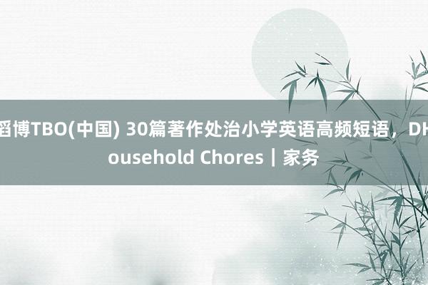 滔博TBO(中国) 30篇著作处治小学英语高频短语，DHousehold Chores｜家务