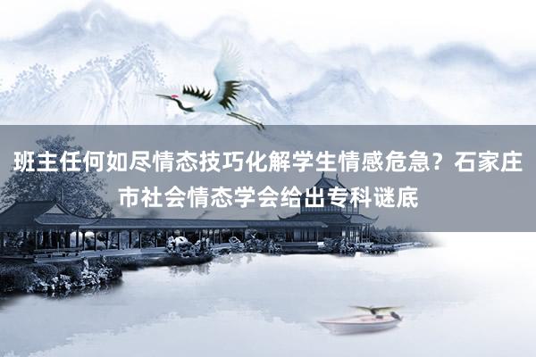 班主任何如尽情态技巧化解学生情感危急？石家庄市社会情态学会给出专科谜底