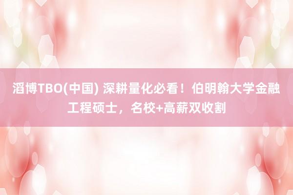 滔博TBO(中国) 深耕量化必看！伯明翰大学金融工程硕士，名校+高薪双收割