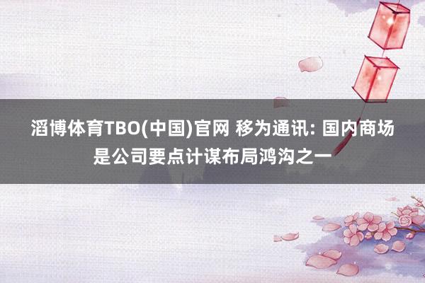 滔博体育TBO(中国)官网 移为通讯: 国内商场是公司要点计谋布局鸿沟之一