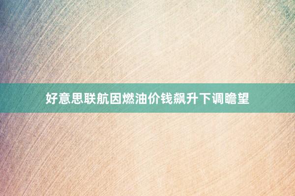 好意思联航因燃油价钱飙升下调瞻望