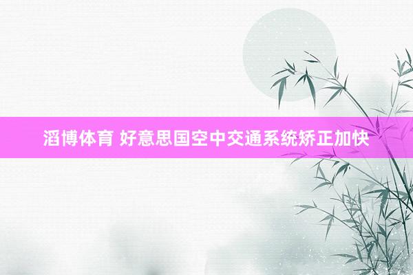 滔博体育 好意思国空中交通系统矫正加快