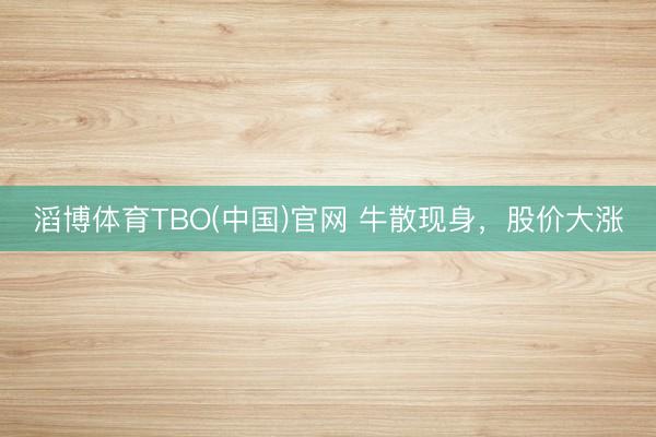 滔博体育TBO(中国)官网 牛散现身，股价大涨